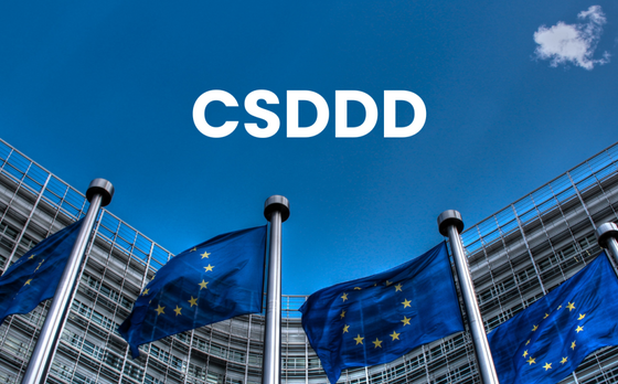 The Corporate Sustainability Due Diligence Directive Scope and Company Obligations